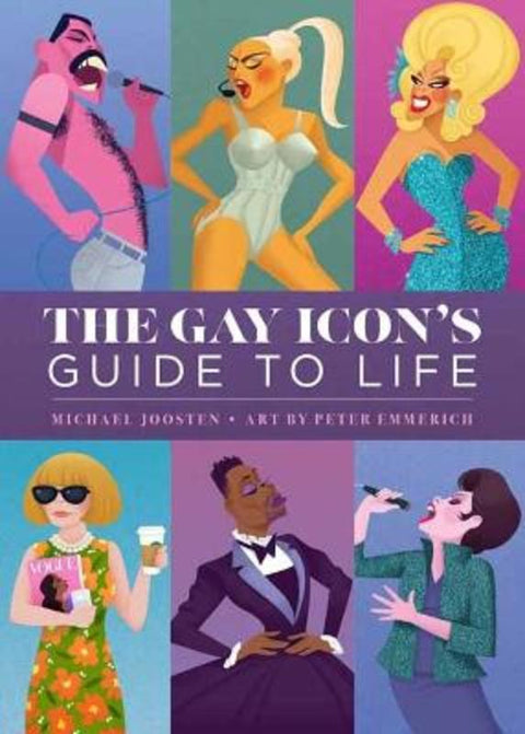 The Gay Icon's Guide to Life from Peter Emmerich - Harry Hartog gift idea