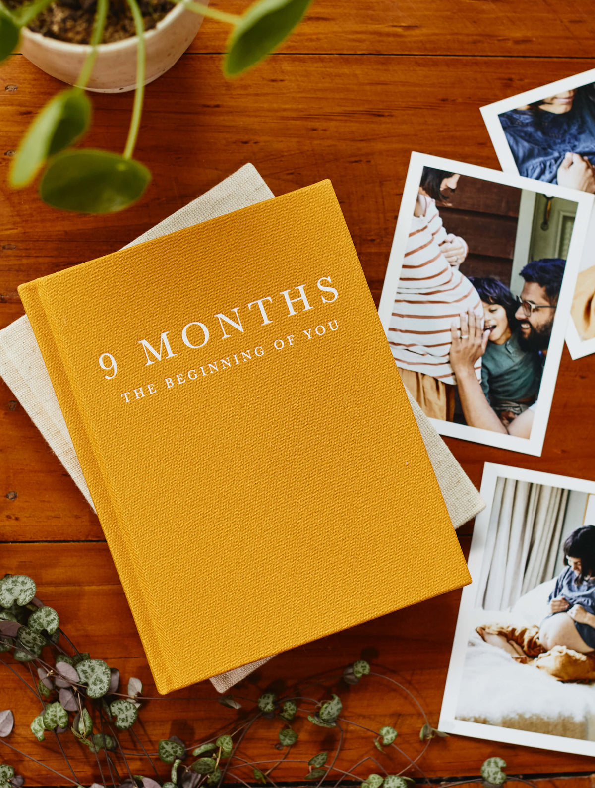 9 Months - The Beginning Of You Journal