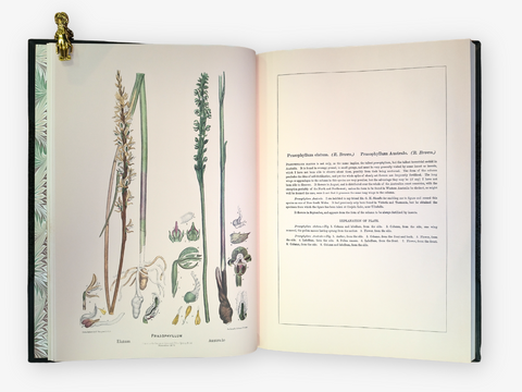 Australian Orchids, 2 volumes (Limited Facsimile Edition)