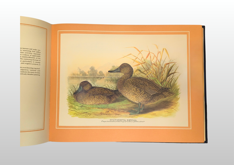 The Wildfowl Paintings of Henry Jones (Limited First Edition, Signed)
