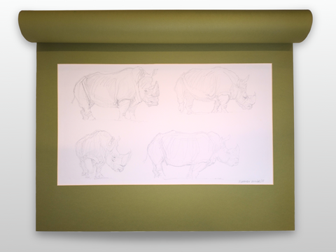 The Rhinoceros: A Monograph (Special Limited Edition)
