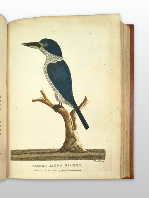 The Voyage of Governor Philip to Botany Bay (First Trade Edition)