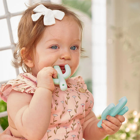 Cactus Silicone Teether | Assorted Colours