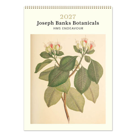 Joseph Banks Botanicals Medium Calendar HMS Endeavour 2027