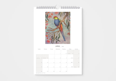 Australian Parrots by Vlad Stankovic 2026 Wall Calendar