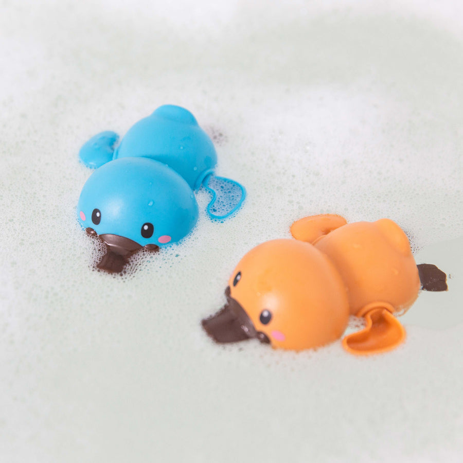 Platypuses Bath Racers