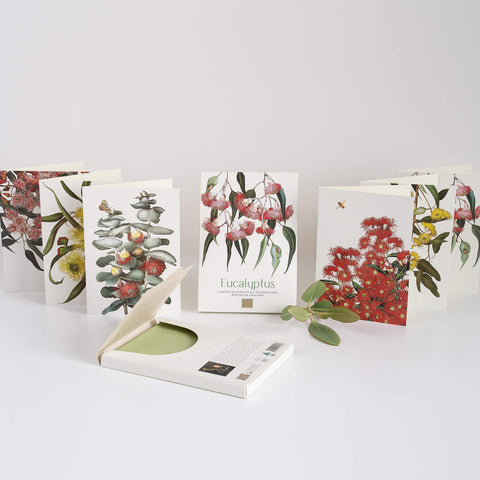 Eucalyptus Greeting Card Collection