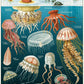 Jellyfish 1000 Piece Puzzle