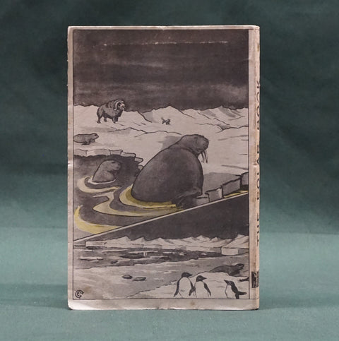 The Polar Book (First Edition)