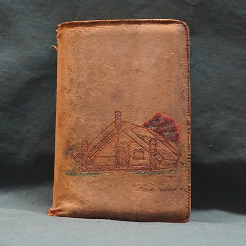 The High Alps of New Zealand (First Edition)