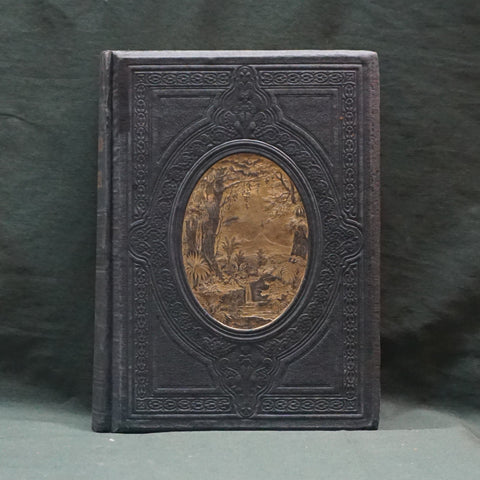 New Zealand: Its Physical Geography, Geology and Natural History (First Edition)