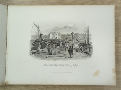 Victoria Illustrated (First Edition)