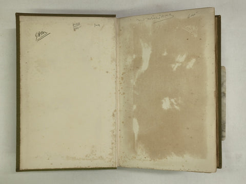 The Alps in 1864: A Private Journal (First Trade Edition)