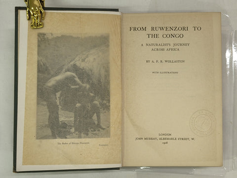 From Ruwenzori to the Congo (First Edition)