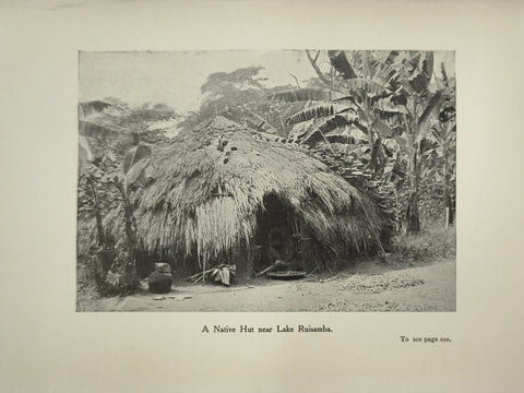 From Ruwenzori to the Congo (First Edition)