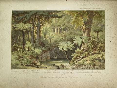 New Zealand: Its Physical Geography, Geology and Natural History (First Edition)