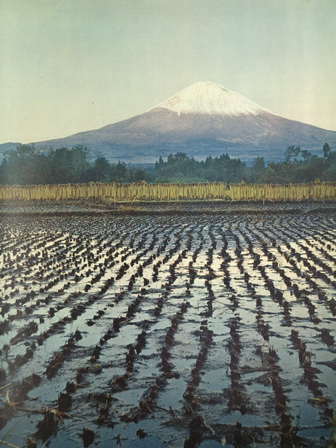 Japan (SIGNED First Edition)