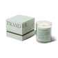 Tranquil Mood Candle - Lush Palms