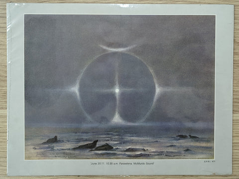 Diary of the 'Discovery' Expedition & Diary of the 'Terra Nova' Expedition (First editions)