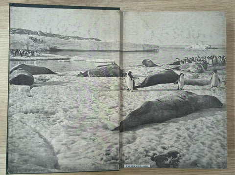 Argonauts of the South (First Edition)