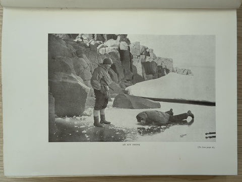 Lost in the Arctic (First English Edition)