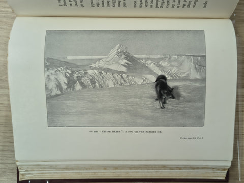 The South Pole (First English Edition)
