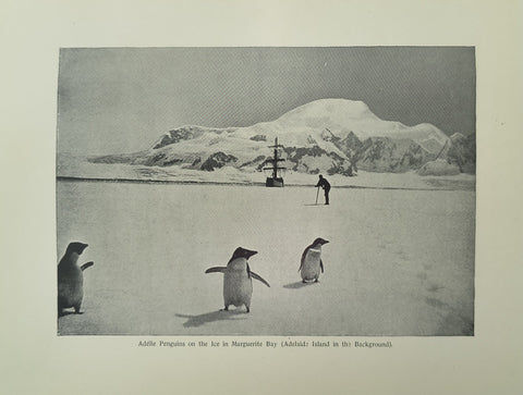 The Voyage of the 'Why Not?' (First English Edition)