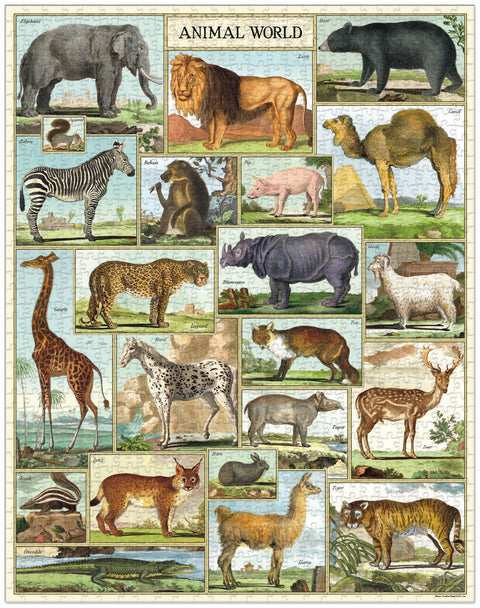Animal World 1000 Piece Puzzle