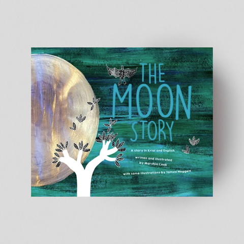 The Moon Story