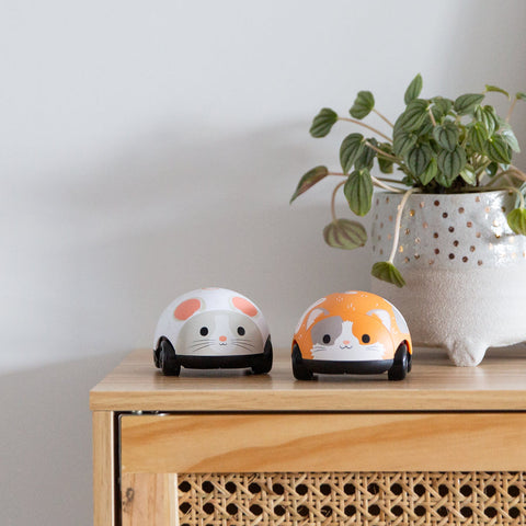 Cat and Mouse Pull-backs