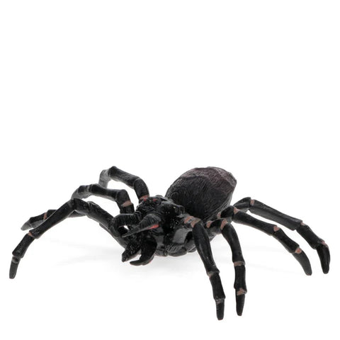 Realistic Tarantula Toy