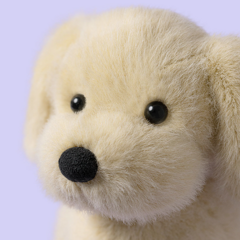 Golden Puppy
