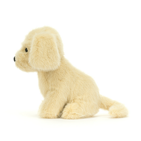 Golden Puppy