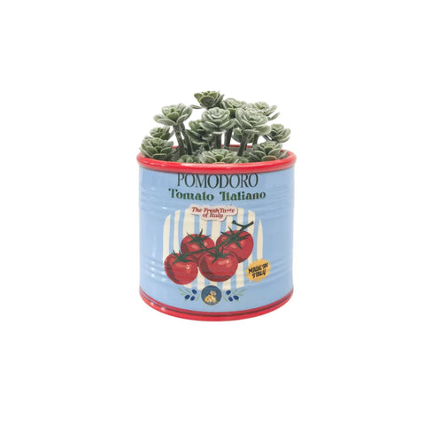 Tomato Italiano Can Planter