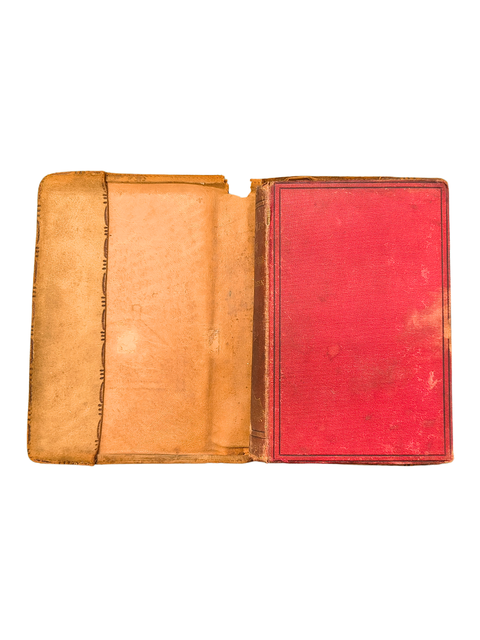 The High Alps of New Zealand (First Edition)