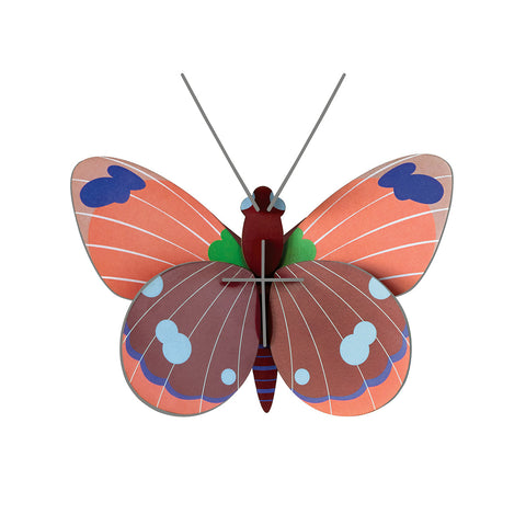 Delias Butterfly - Insects - B7
