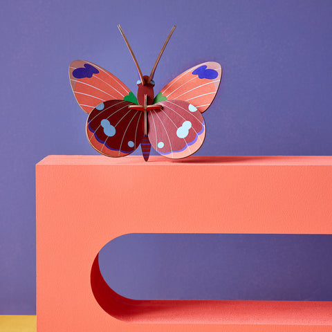 Delias Butterfly - Insects - B7