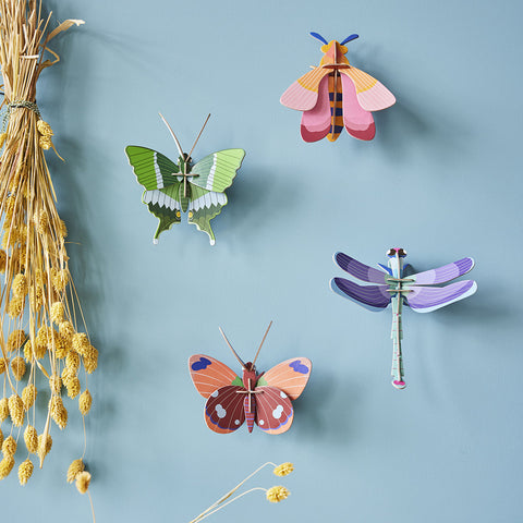 Delias Butterfly - Insects - B7