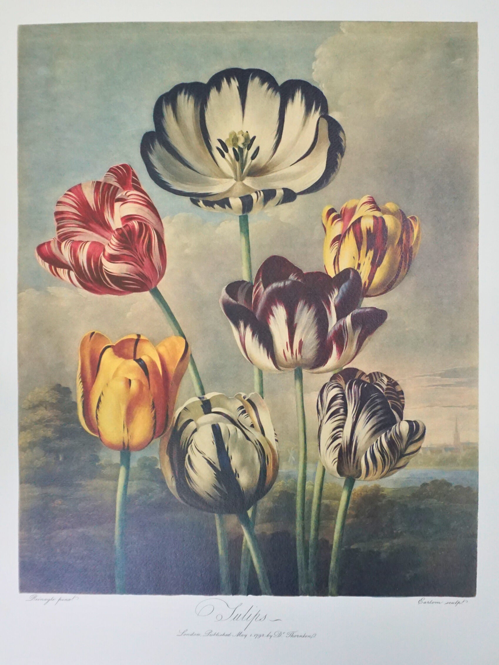 The Temple of Flora (Folio Society Limited Edition) | Harry Hartog