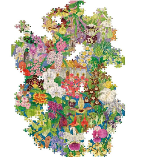 Around the World in 50 Orchids
