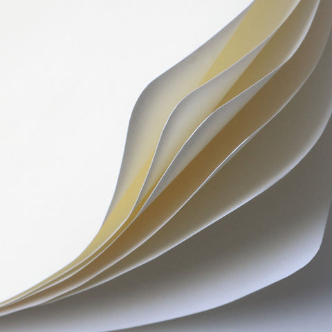 Medium Blush Bullet Journal