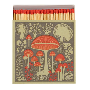 Mushroom Safety Match Box