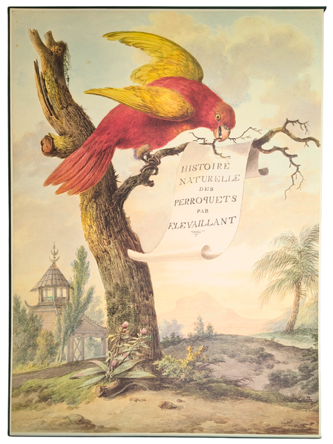 Histoire Naturelle des Perroquets (Limited Deluxe Facsimile Edition)