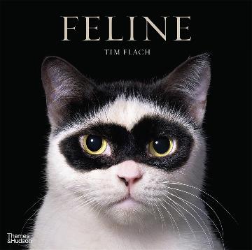 Feline