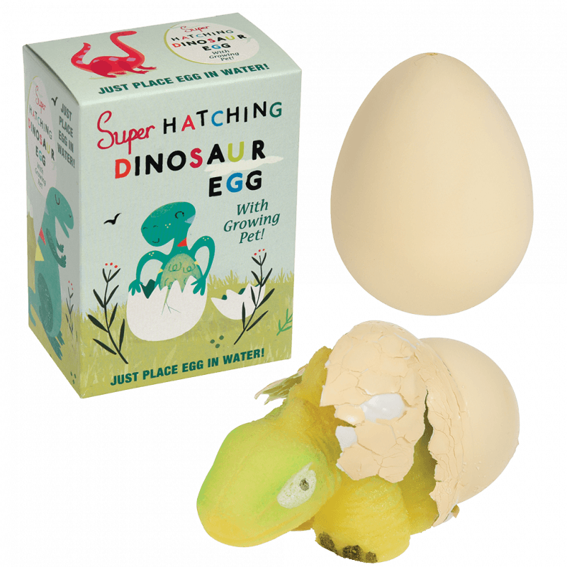 Hatch Your Own Dino Egg from Rex London Unique gifts and