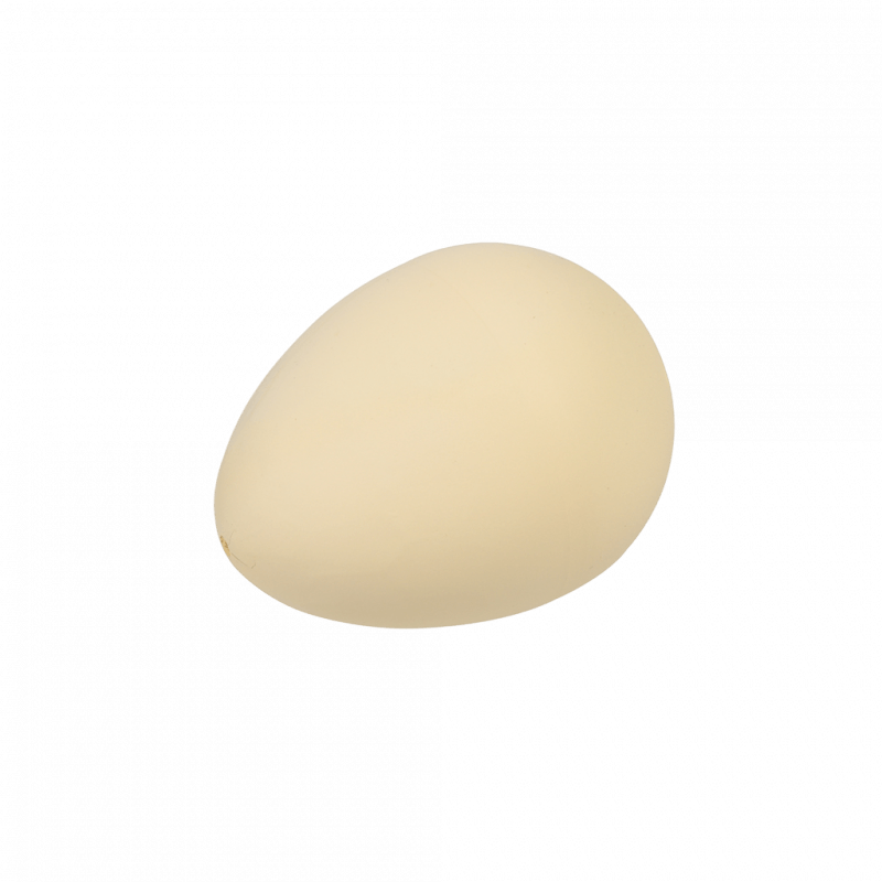 Hatch Your Own Dino Egg