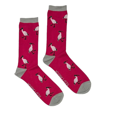 Ibis Socks (Large 40-44)