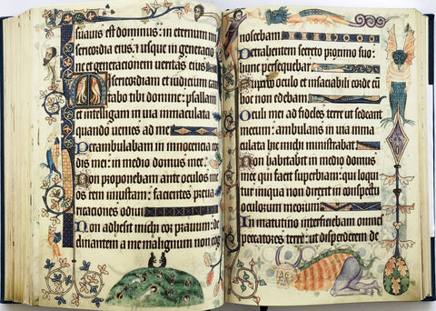 The Luttrell Psalter (Folio Society Limited Edition)