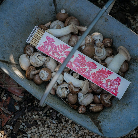 Mushrooms Long Matches