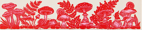 Mushrooms Long Matches